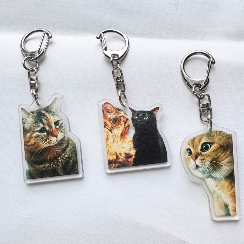 Cute Funny meme Cat Memes Seri - огляд і ціна Kids Toys Low Price