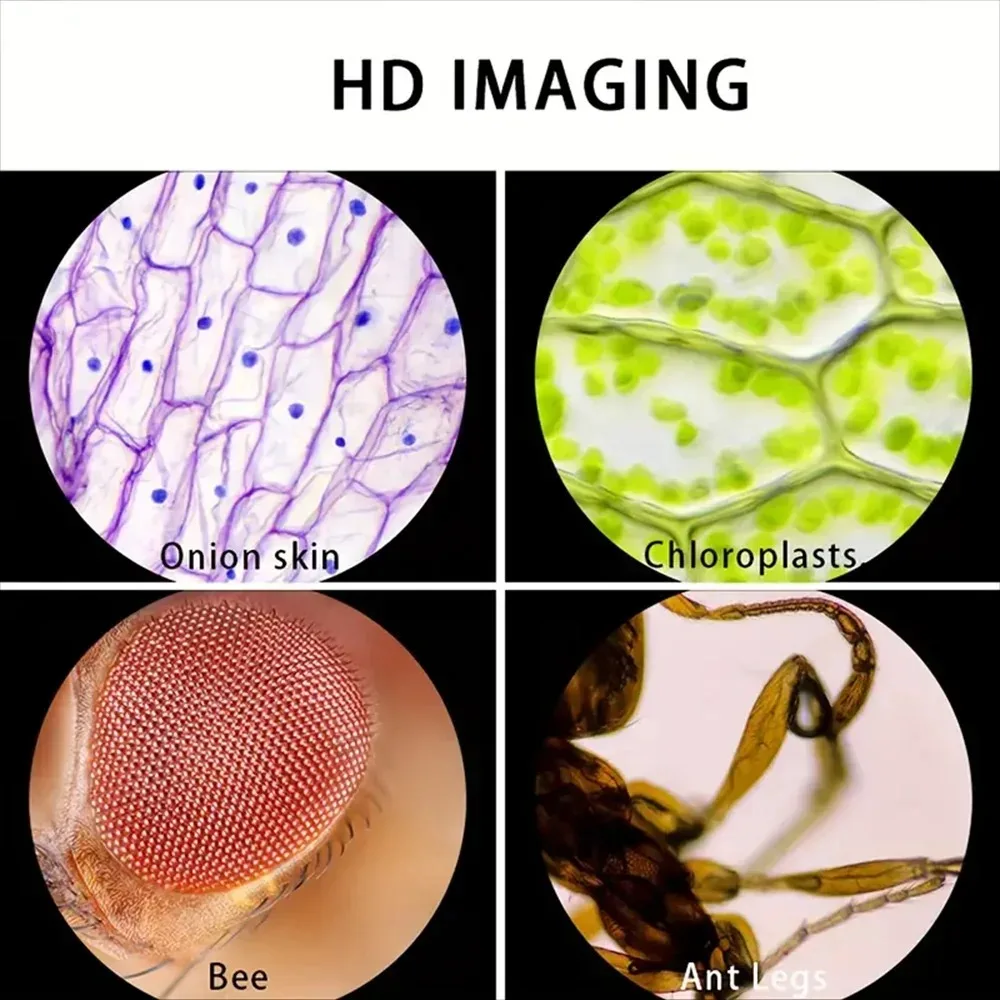 Microscope 60-120X Lab Handhel - огляд і ціна Microscope Kids Science