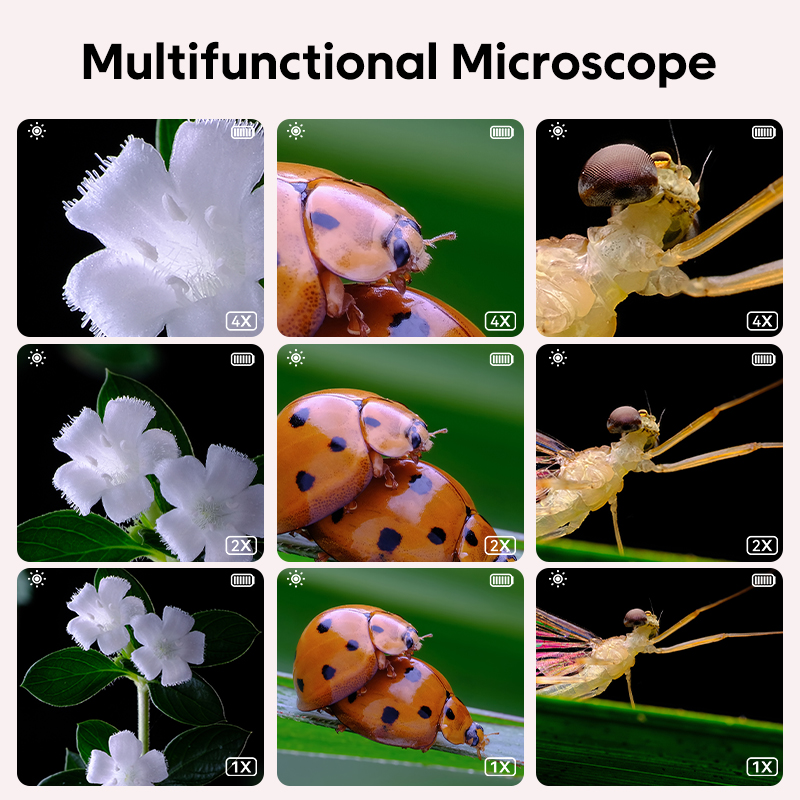 Mini Kids Optical Microscope W - огляд і ціна Microscope Kids Science